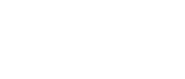 全球服務網絡
